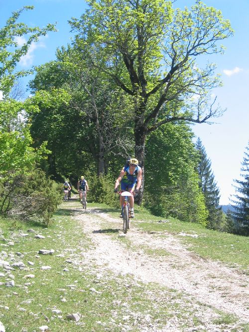 Descente du fort du Larmont. Trop belle, trop courte comme d'hab