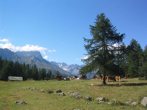Trop beau, mais CHUT les Hollandais et les Anglais sont déjà au courant