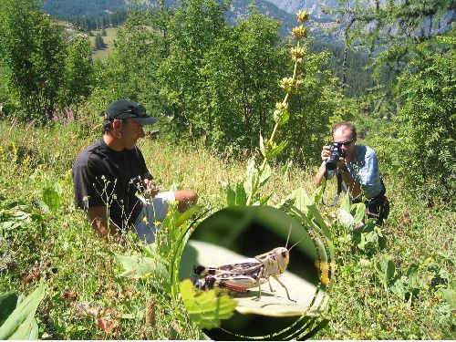 Aprés les chasseurs de Cols, voici les chasseurs d'images