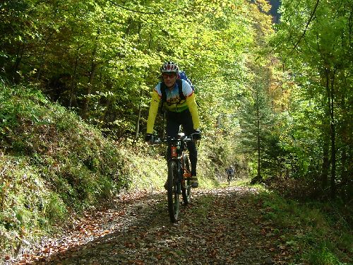 L'automne et ses couleurs, génial !