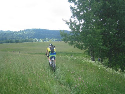 Descente dans l'herbe du tamdem... Pas toujours évident. 