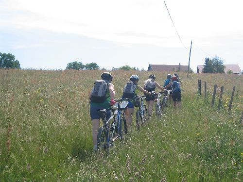 "On veut pas abîmer les fleurs, alors on marche délicatement...." 