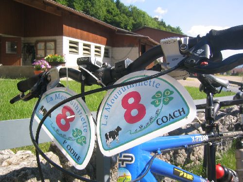 Nos belles plaques, offertes par nos sponsors, avec le logo de cette 8ième Mouuuthinette