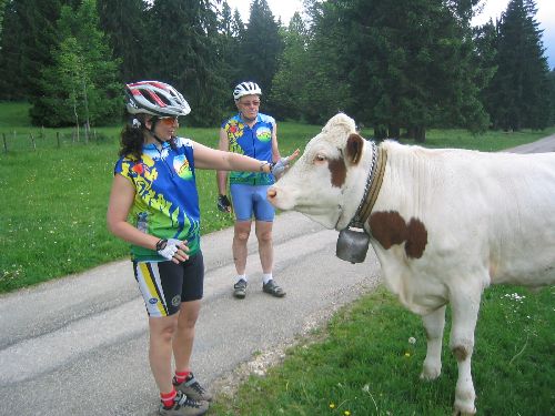 Du VTT? Ah non, pas pour toi !