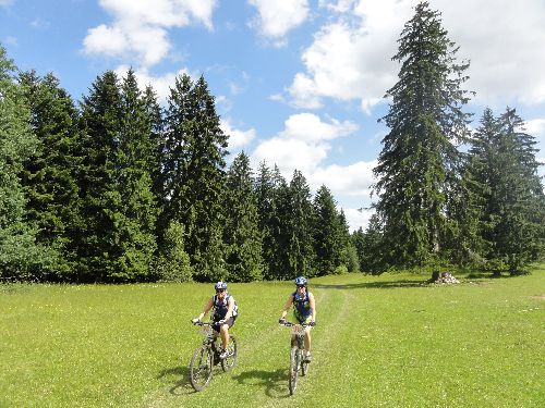 A travers les magnifiques prairies du Jura