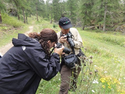 Chasse aux insectes...
