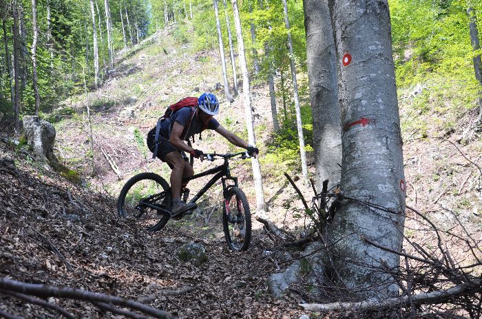 Mr Fabien, Docteur "Free Ride" Superbe